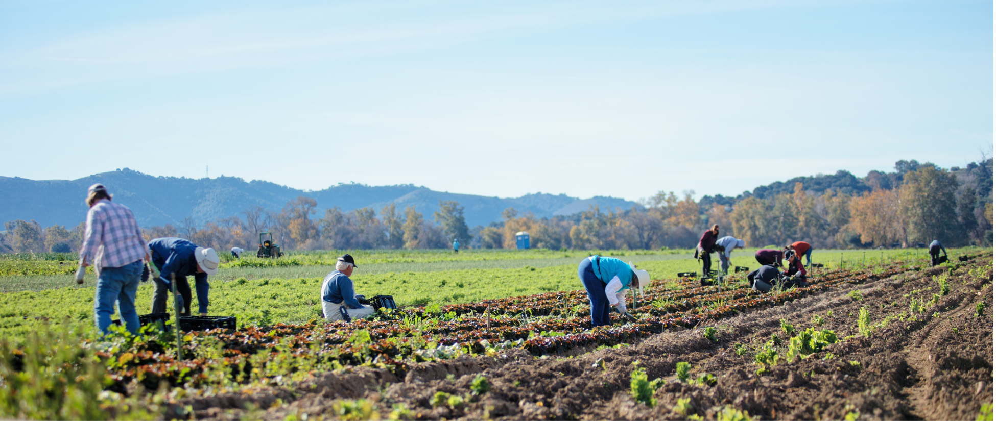 From Farm to Family: A Solution to Hunger